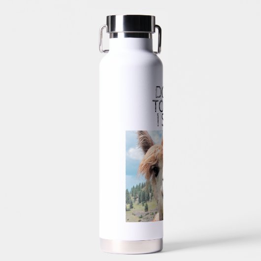 Funny Alpaca Llama Don't Touch I Spit Liquor Trinkflasche (Vorne)