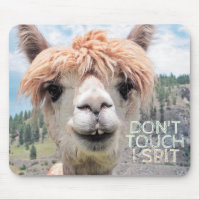 Funny Alpaca Llama Don't Touch I Spit
