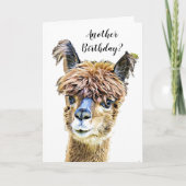 Funny Alpaca Llama Spaß Geburtstag Karte (Vorderseite)