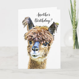 Funny Alpaca Llama Spaß Geburtstag Karte