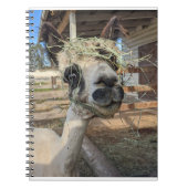 Funny Alpaca Notebook Notizblock (Vorderseite)
