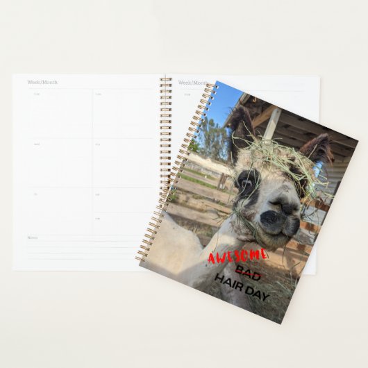 Funny Alpaca Planner Planer (Anzeige)