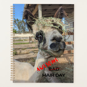 Funny Alpaca Planner Planer