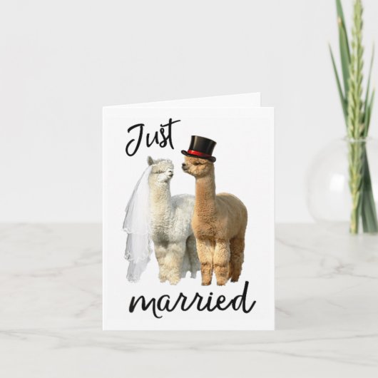 Funny Alpaca Shirt Braut und Groom Wedding _1 Karte (Vorderseite)