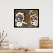 Funny Alpacas Poster (Küche)