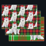 Funny American Eskimo Christmas Dog Red Kariert Geschenkpapier Set<br><div class="desc">Ein bezaubernder amerikanischer Eskimo Hund ist bereit für die Ferienzeit mit Ferienhut. Dieser niedliche Weihnachtshund ist mit einem roten und grünen Urlaub gepaart,  kariert auf diesem Set der Geschenkpackung für den Hundefreund.</div>