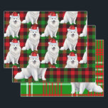 Funny American Eskimo Christmas Dog Red Kariert Geschenkpapier Set<br><div class="desc">Ein bezaubernder amerikanischer Eskimo Hund ist bereit für die Ferienzeit mit Ferienhut. Dieser niedliche Weihnachtshund ist mit einem roten und grünen Urlaub gepaart,  kariert auf diesem Set der Geschenkpackung für den Hundefreund.</div>