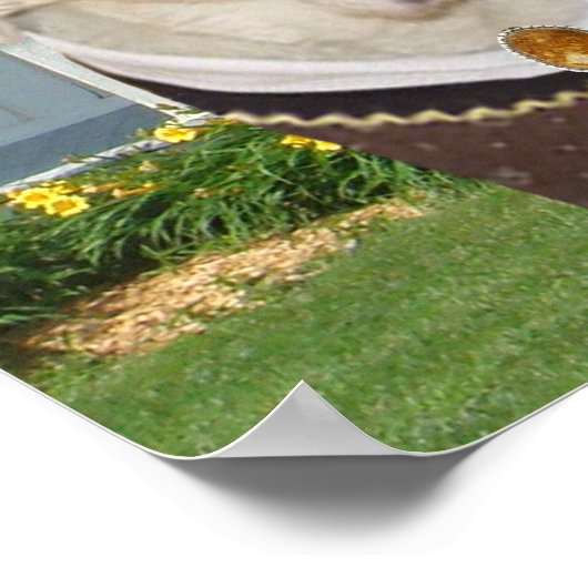 Funny American Gothic Labrador Poster (Ecke)