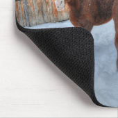 Funny Amour Stallion und Reluctant Mare Horses Mousepad (Ecke)