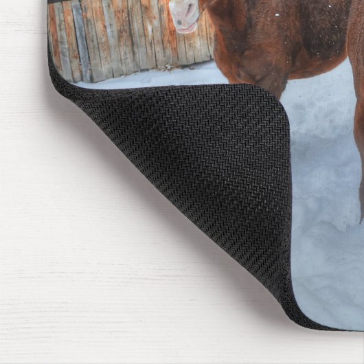 Funny Amour Stallion und Reluctant Mare Horses Mousepad (Ecke)
