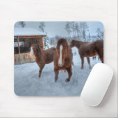 Funny Amour Stallion und Reluctant Mare Horses Mousepad (Mit Mouse)