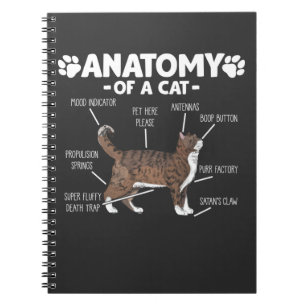 Funny Anatomie einer Katze Niedlich Kitty Lover Pe Notizblock