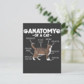 Funny Anatomy a Cat Niedlich Kitty Lover Pet Besit Postkarte (Stehend Vorderseite)