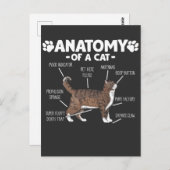 Funny Anatomy a Cat Niedlich Kitty Lover Pet Besit Postkarte (Vorne/Hinten)