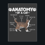 Funny Anatomy a Cat Niedlich Kitty Lover Pet Besit Postkarte<br><div class="desc">Perfektes Geschenk,  wenn Sie Katzen oder Kätzchen Liebe haben und sich selbst als Katzenliebhaber oder Katzenfrau bezeichnen. Humorvolles Katzengeschenk ist perfekt. Tierstudentische Freunde haben sich je über die Anatomie einer Katze gewundert.</div>