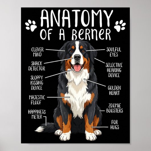 Funny Anatomy Bernese Mountain Dog Cute Berner Lov Poster (Vorne)