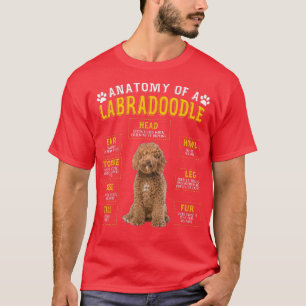 Funny Anatomy Labradoodle Geschenke für Frauen Män T-Shirt