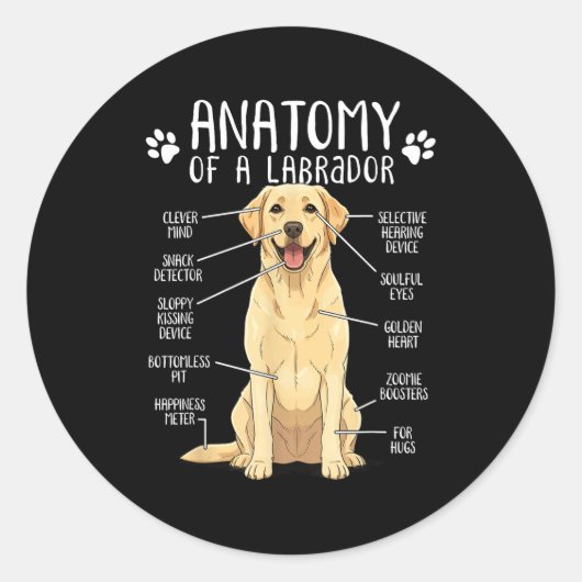 Funny Anatomy Labrador Retriever Yellow Lab Dog Ow Runder Aufkleber (Vorderseite)