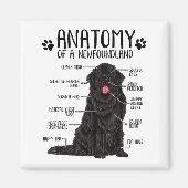 Funny Anatomy Newfoundland Dog Cute Newfie Lover Magnet (Vorne)