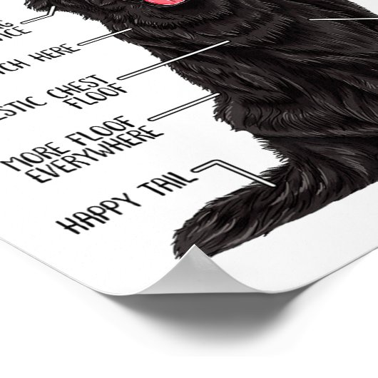 Funny Anatomy Newfoundland Dog Cute Newfie Lover Poster (Ecke)