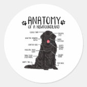 Funny Anatomy Newfoundland Dog Cute Newfie Lover Runder Aufkleber (Vorderseite)