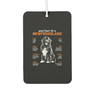 Funny Anatomy of a Newfundland Hunde Autolufterfrischer