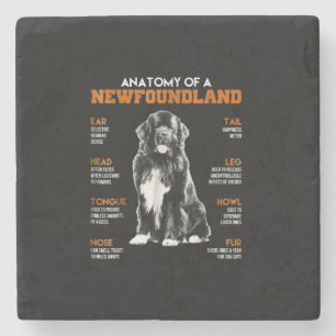 Funny Anatomy of a Newfundland Hunde Steinuntersetzer