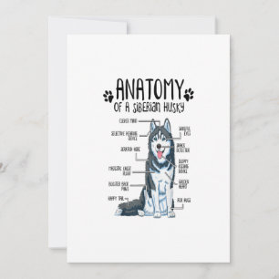 Funny Anatomy Siberian Husky Dog Lover Gift Feiertagskarte