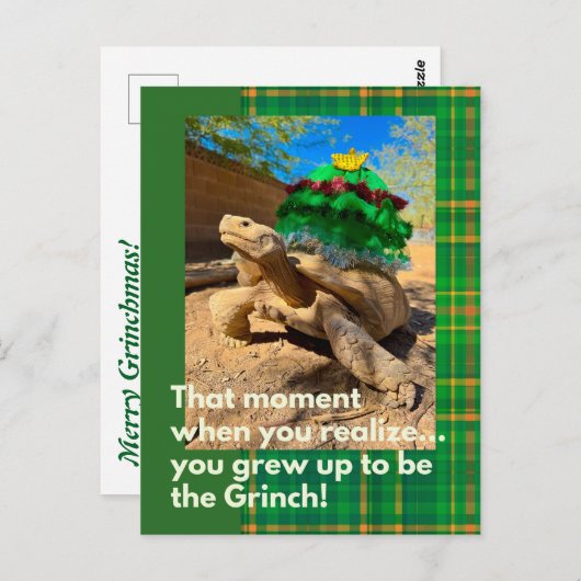 Funny and Festive Grinch Sulcata Tortoise Holiday Postkarte (Vorne/Hinten)
