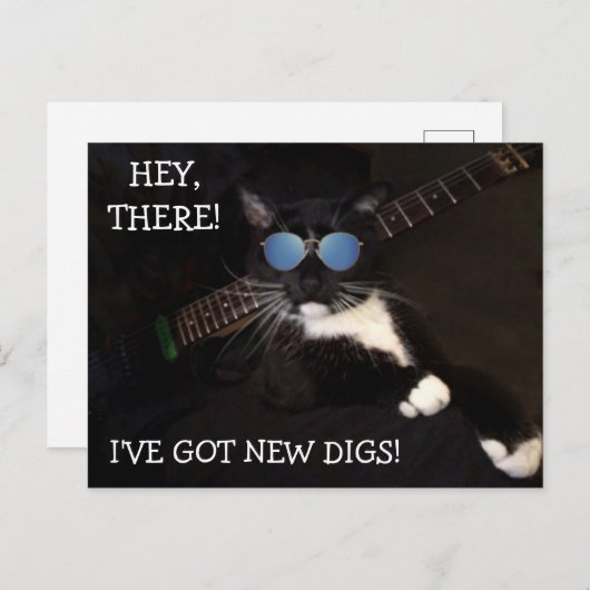 Funny Angesagt und Cool Cat Moving Postcard Postkarte (Vorne/Hinten)