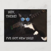 Funny Angesagt und Cool Cat Moving Postcard Postkarte (Vorderseite)