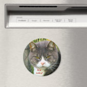 Funny ANGRY CAT Sprichwort, "HEUTE NICHT!" Magnet (In Situ (Geschirrspüler))
