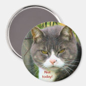 Funny ANGRY CAT Sprichwort, "HEUTE NICHT!" Magnet (Vorderseite/Rückseite)
