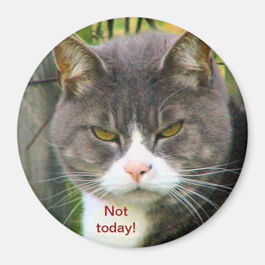 Funny ANGRY CAT Sprichwort, "HEUTE NICHT!" Magnet (Vorne)