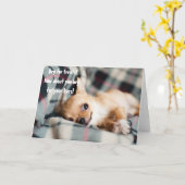 Funny Angry Chihuahua Beg für das Leben Gruß Karte (Gelbe Blume)