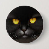 Funny Angry Fluffy Black Persian Kitty Cat Face Button (Vorderseite)