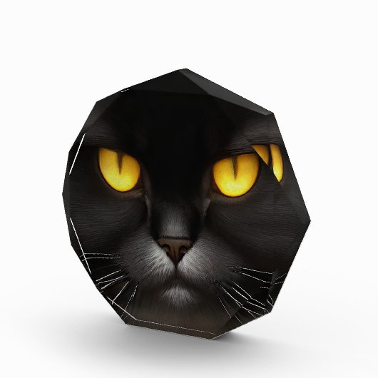 Funny Angry Fluffy Black Persian Kitty Cat Face Fotoblock (Rechts)