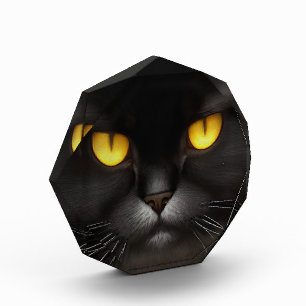 Funny Angry Fluffy Black Persian Kitty Cat Face Fotoblock