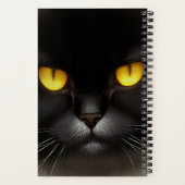 Funny Angry Fluffy Black Persian Kitty Cat Face Notizblock (Rückseite)