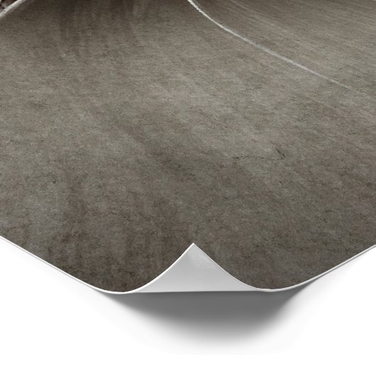 Funny Angry Fluffy Black Persian Kitty Cat Face Poster (Ecke)