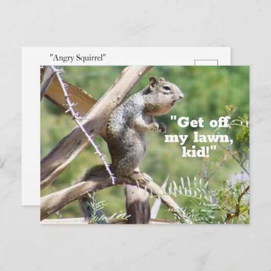 Funny Angry Squirrel Postcard Postkarte (Vorne/Hinten)