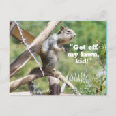 Funny Angry Squirrel Postcard Postkarte (Vorderseite)