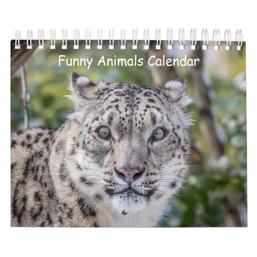 Funny Animal Calendar Kalender (Titelbild)