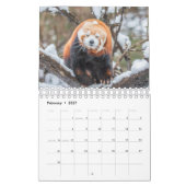 Funny Animal Calendar Kalender (Feb 2027)