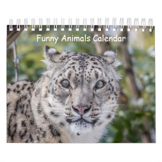 Funny Animal Calendar Kalender