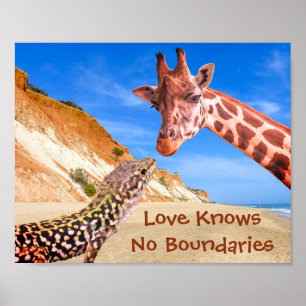 Funny Animal Fotomontage Liebe kennt keine Grenzen Poster