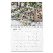 Funny Animal Kalender (Jan 2027)