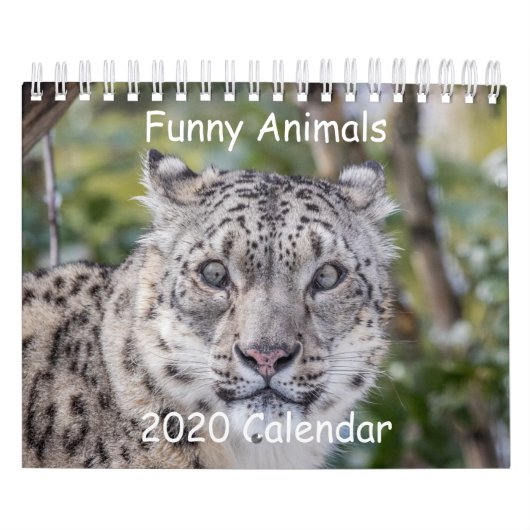 Funny Animal Kalender (Titelbild)