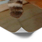 Funny Animal Memes Cat Memes Humore Fotos Poster (Ecke)