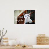 Funny Animal Memes Cat Memes Humore Fotos Poster (Küche)